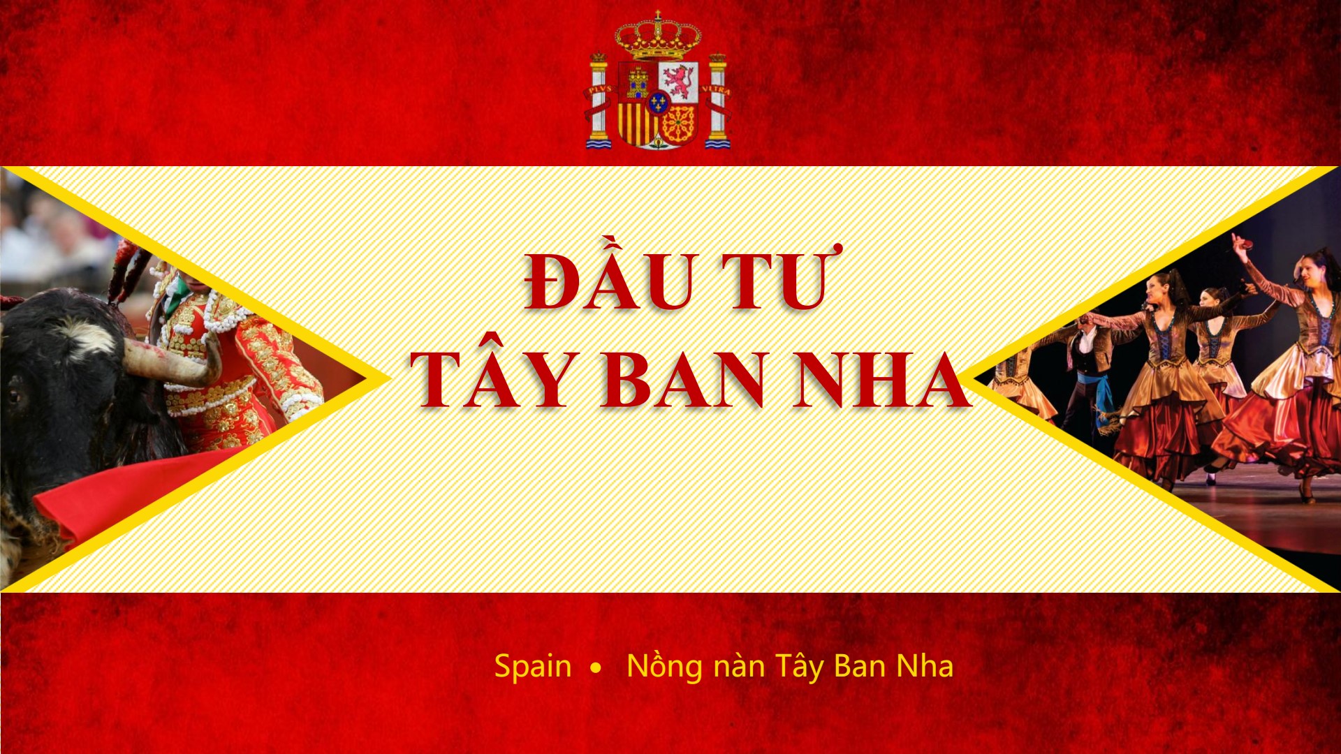 dinh cu tay ban nha moi nhat nvs 1 1