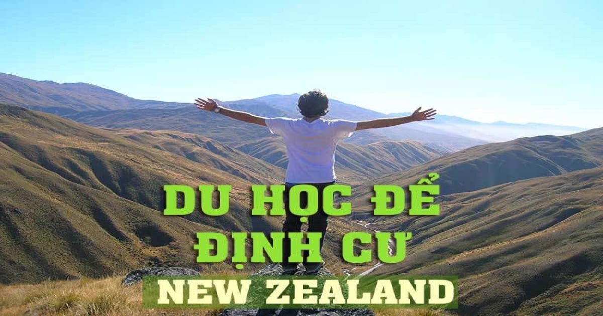 new zeland dinhcu 1200x630 1