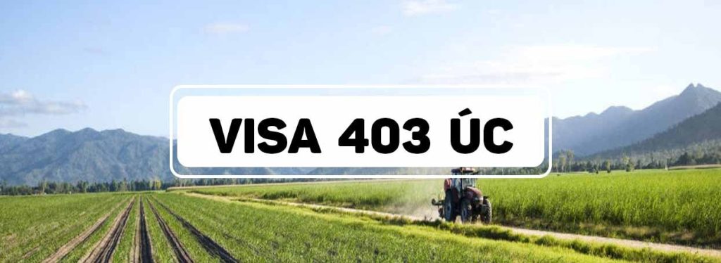 VISA 403 UC