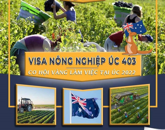 visa 403 uc 6122022 6