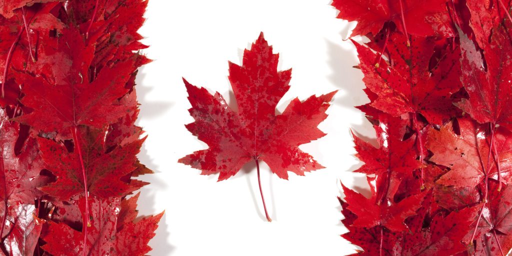 dinh cu theo dang doan tu gia dinh canada
